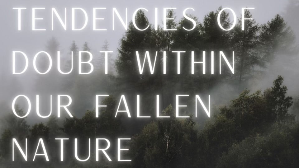 TENDENCIES OF DOUBT WITHIN OUR FALLEN NATURE.